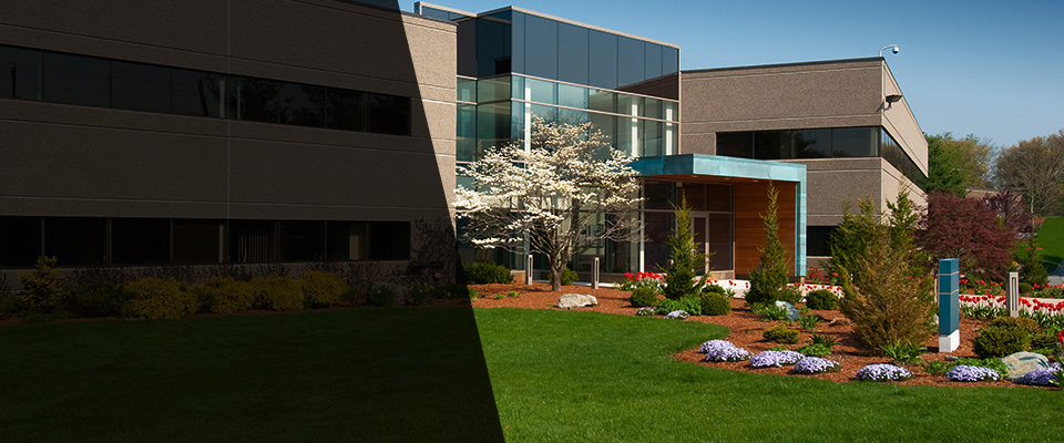 Saint Leonard Landscapers