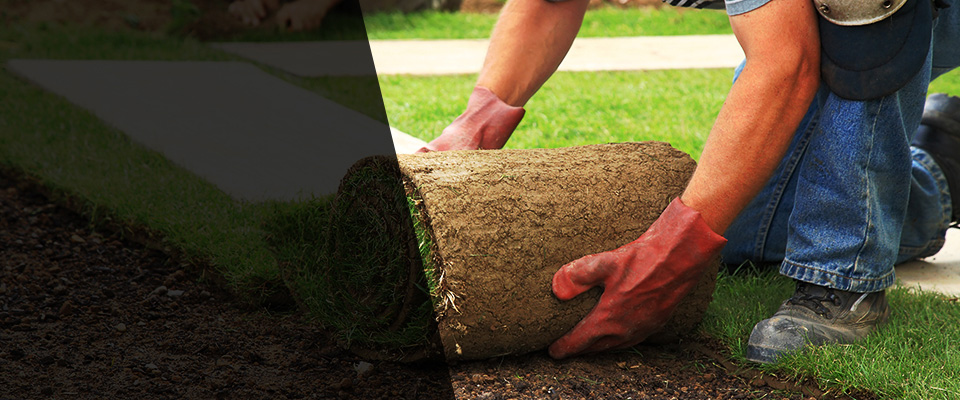 Saint Leonard Landscapers